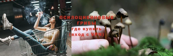 ГАЛЛЮЦИНОГЕННЫЕ ГРИБЫ Михайловск