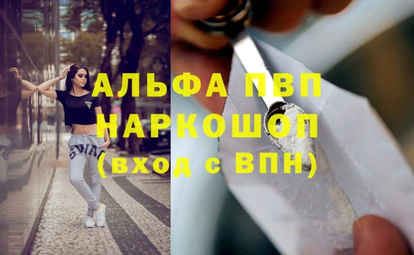 хмурый Белая Холуница