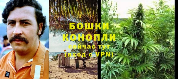 ГАЛЛЮЦИНОГЕННЫЕ ГРИБЫ Михайловск