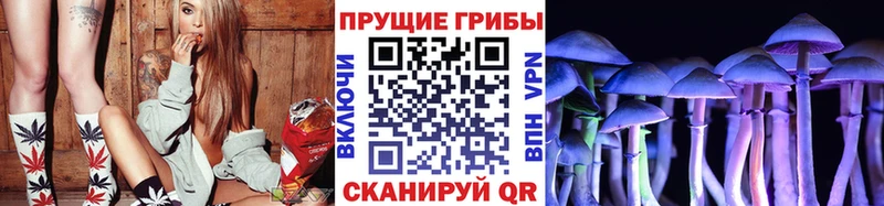 Псилоцибиновые грибы MAGIC MUSHROOMS  купить  цена  Болохово 